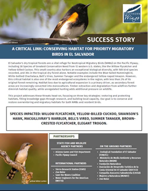 first page photo El Sal.png