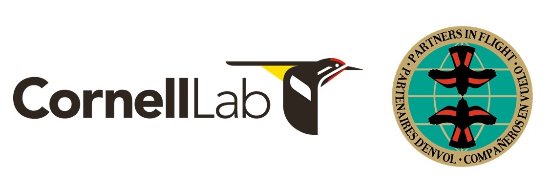 logos.jpg